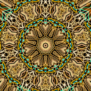 Seed Weaver #15
