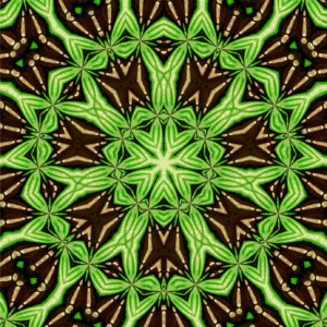 Flower Budder #14